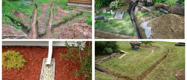 фото плохой дренаж в саду