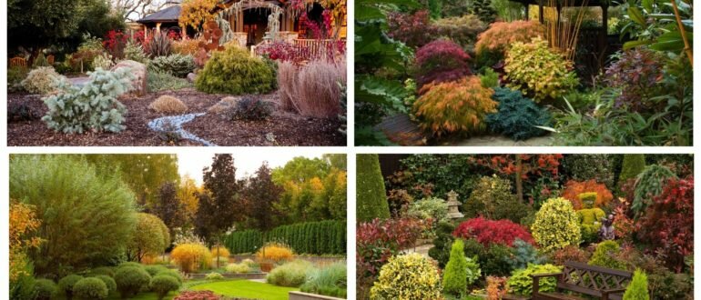 фото осенний ландшафт в саду