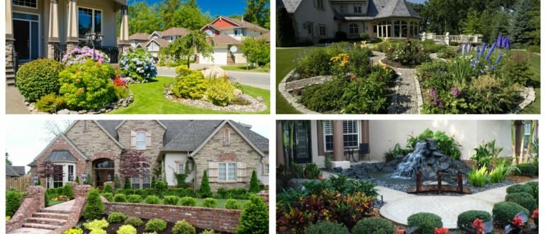 фото ландшафт сада