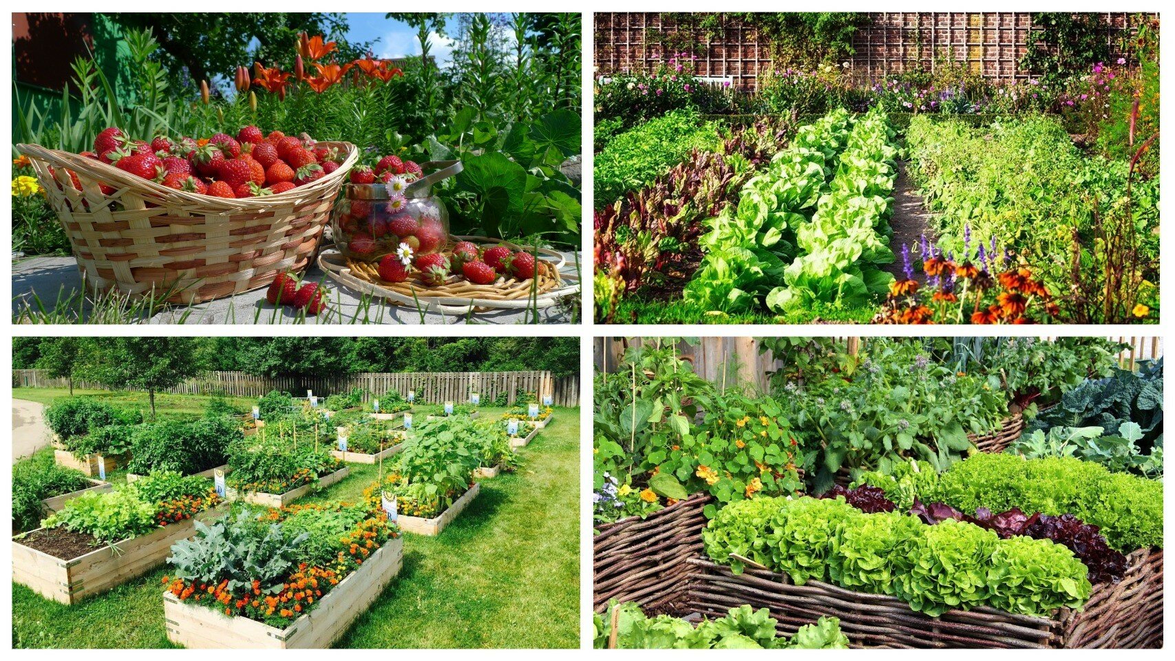 фото летний сад