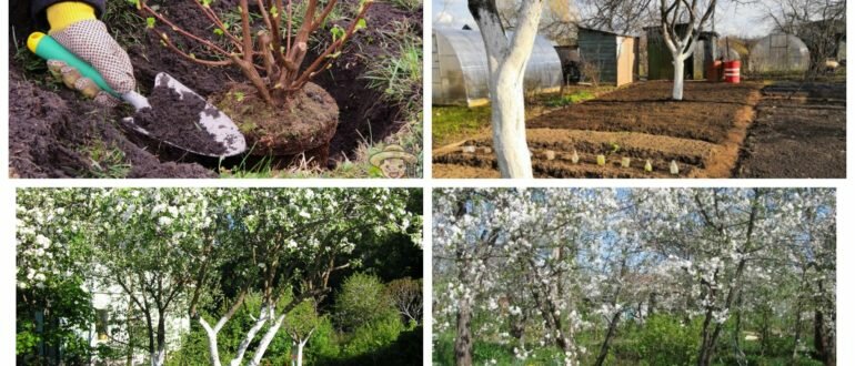 фото весенний сад