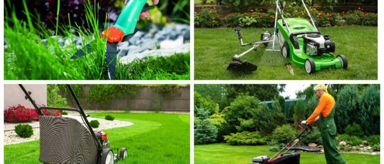 фото уход за газоном