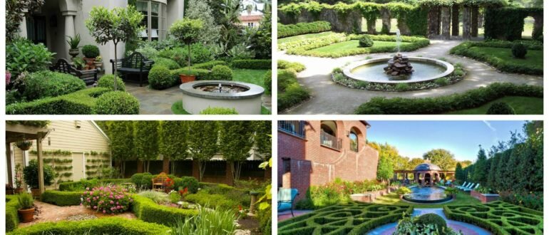 фото экологический сад